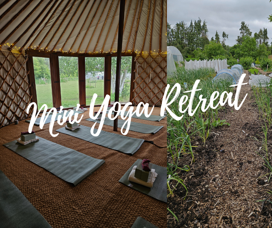 Read more about the article Mini Yoga Retreat – at the Yurt